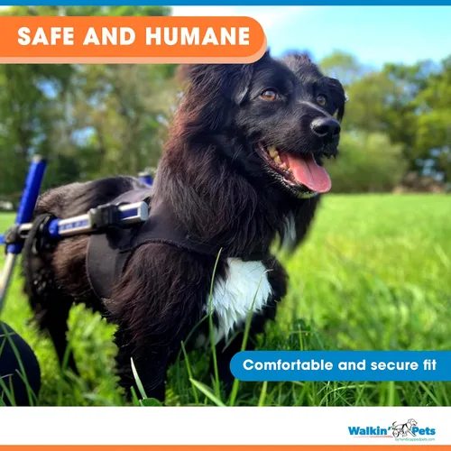 Miniatura 4 de Arnés delantero para perro Arnés sin tirones Diseñado para perros pequeños con pechos anchos Compatible con silla de ruedas para perros