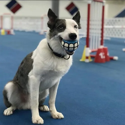 Miniatura 3 de Pelotas para perros, juguetes Squeaky Fetch, regalos divertidos de goma para perros grandes y medianos (azul blanco)