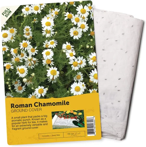 Miniatura 16 de BloomingBulb Alfombrilla para semillas, fácil de plantar y cultivar semillas de jardín, crea un jardín de flores fragantes y vibrantes, macizos