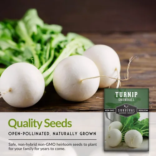 Miniatura 7 de Semillas de nabo para plantar Snowball White Variedad Heirloom No OGM Vegetal de raíz de temporada fresca para jardines de otoño y primavera