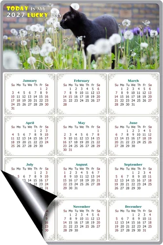 Miniatura 2 de Calendario magnético 2025 – Imanes del calendario – Today is my Lucky Day – Resistente a la decoloración, desgarros y agua – Temática de gato 05