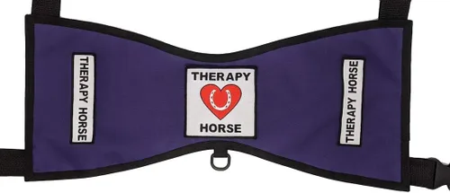 Miniatura 2 de Chaleco terapéutico para caballo #1 – Deluxe (tamaño 1 (altura 18"-24" en cruz) W, negro)