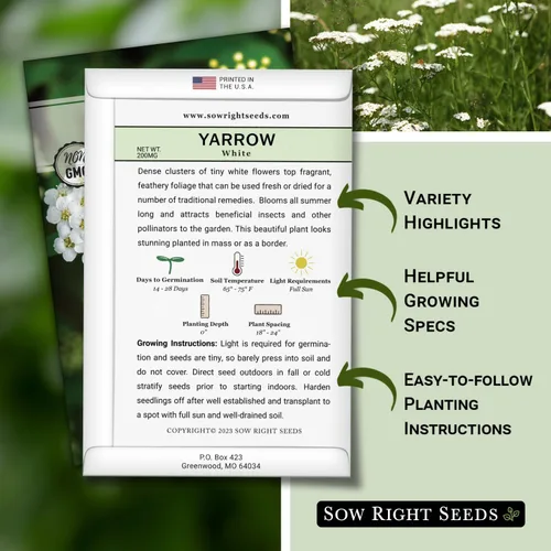 Miniatura 2 de Sow Right Seeds - Gran colección de semillas de hierbas medicinales para plantar - Manzanilla, equinácea, lavanda, menta, apio de panadero, melisa