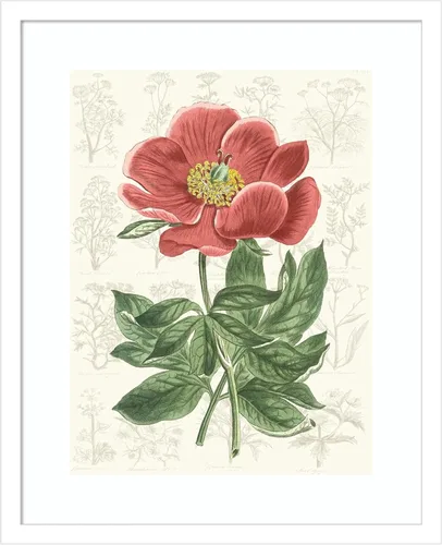 Miniatura 12 de Amanti Art Vision Studio - Lienzo decorativo para pared, 24 x 20 pulgadas, diseño de jardín de flores de peonía, arte de pared de flores, decoración