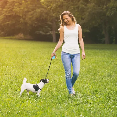Miniatura 6 de Correa retráctil para perros pequeños y medianos de hasta 22 libras con cinta de nailon fuerte de 9.8 pies, manos libres, correa portátil y ligera