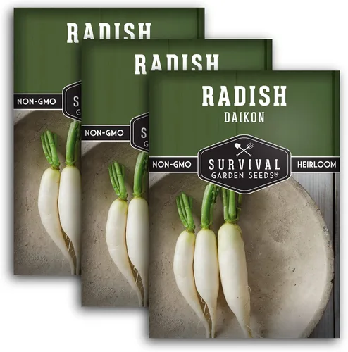 Miniatura 11 de Daikon Semillas de rábano para plantar, rábano blanco japonés tradicional con raíces largas y suaves para huertos domésticos, semillas de jardín