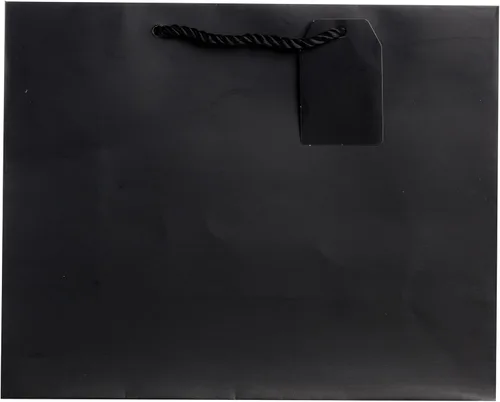 Jillson Roberts Bolsas de regalo grandes a granel disponibles en 14 colores, negro mate, 120 unidades