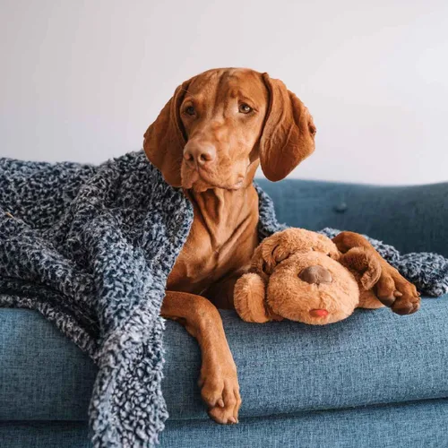 Miniatura 2 de Snuggle Puppy - Juguete original para cachorros con pulso y paquete de calor de sensación real, ayuda calmante para dormir para la ansiedad