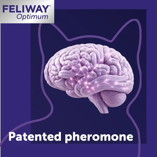 Miniatura 6 de FELIWAY Optimum - Kit difusor calmante para gatos – Soporte avanzado para ayudar a reducir la pulverización de orina, arañazos, peleas y esconderse