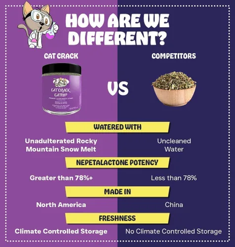 Miniatura 4 de Cat Crack Hierba gatera orgánica, mezcla orgánica 100% natural que energiza y excita a los gatos, golosinas seguras de hierba gatera utilizadas