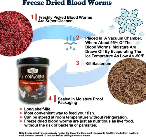 Miniatura 3 de Amzey Blood Worms - Gusanos de sangre liofilizados 100% naturales - Acuario alimento alto en proteínas para peces betta, peces dorados, cíclidos