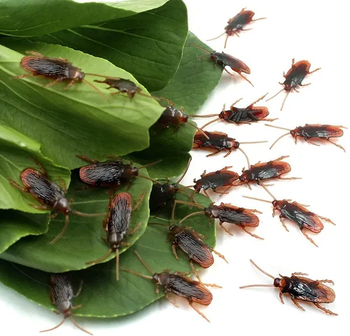 Miniatura 3 de Ksquares, cucarachas falsas de broma, trucos favoritos, juguetes de broma que se ven reales, insectos aterradores de plástico realistas, novedad