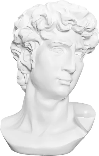 Escultura de figura clásica decorativa de yeso, resina como modelo de pintura para artistas, busto, Venus, Apollo-David David escultura - 11.8 in