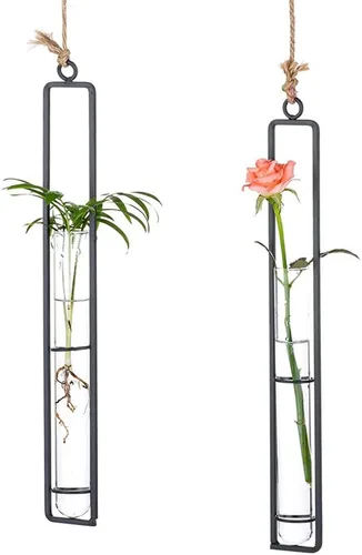 Sziqiqi Florero de tubo de propagación de vidrio transparente colgante para esquejes, propagación de plantas hidropónicas, hogar, balcón, contenedor