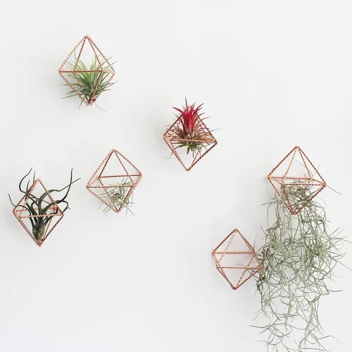 Paquete de 6 soportes de metal de color oro rosa para plantas de aire, decoración geométrica de Himmeli, soportes Tillandsia de alambre de hierro