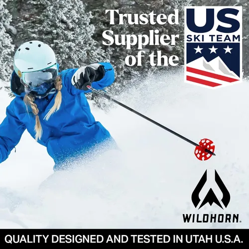 Miniatura 6 de Wildhorn Roca - Gafas de esquí para hombres y mujeres con protección antiempañamiento/arañazos 100% UV - Lente magnética - Gafas de nieve