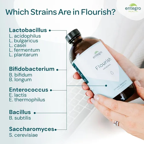 Miniatura 5 de Flourish Original Living - Suplemento probiótico (vidrio) Salud intestinal Salud digestiva Sin OMG Vegano Sin alérgenos Probióticos