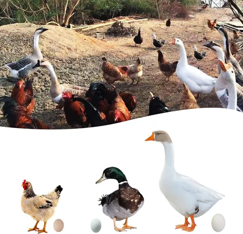 Miniatura 6 de Delantal de recolección de huevos con 18 bolsillos para recoger pollo, pato, huevos de ganso, delantal de huevo de gallina, regalo de pollo