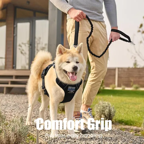 Miniatura 7 de BUMBIN Correa elástica de 6 pies con 2 asas para perros grandes, medianos y pequeños, resistente, sin tirones, absorción de golpes con cinturón