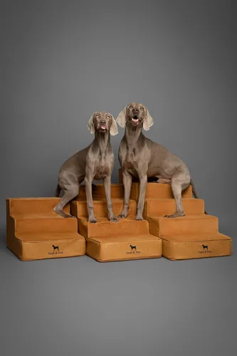 Miniatura 9 de Noah & Paw Escaleras para Perros, Rampa para Perros para Cama (17" Extra Ancha) Escaleras para Mascotas para Cama Alta, Diseñadas para Razas