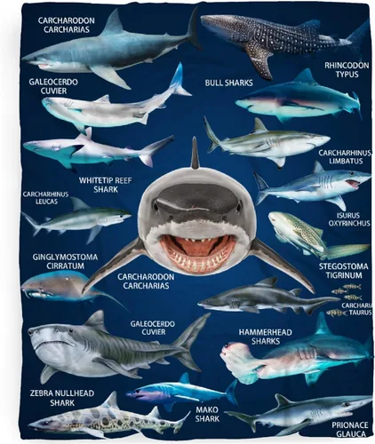 Miniatura 19 de Manta de tiburón de dibujos animados, regalos para niñas y niños, regalos para amantes de los tiburones, manta de tiburón, regalos para niños