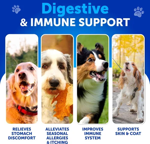 Miniatura 2 de Probióticos para Perros - Apoyo para la Salud Intestinal, Piel Con Picazón, Alergias, Inmunidad, Equilibrio de Levadura - Probióticos para Perros