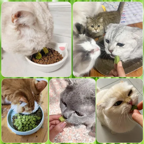 Miniatura 8 de 60g de hierba gatera para gatos, snacks de hierba gatera deshidratados al congelar para la dentición de gatitos, juguetes masticables comestibles