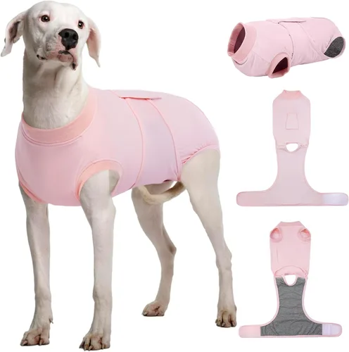 Miniatura 37 de Kuoser Traje de recuperación para perros, traje suave de esterilización para perros para recuperación de cirugía femenina, traje de recuperación