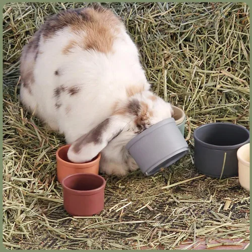 Miniatura 6 de Qoaimu 8 piezas de juguetes de conejito apilables para conejos y animales pequeños, coloridos vasos de anidación reutilizables de diferentes