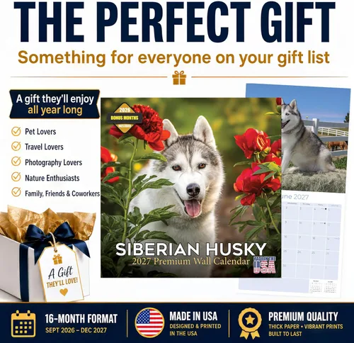 Miniatura 8 de Razas de Perros 2017 SIBERIAN HUSKY