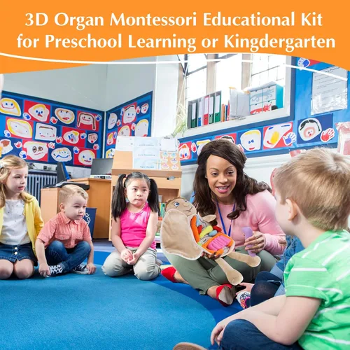 Miniatura 4 de vocheer Juguete de anatomía del cuerpo humano, juguetes de peluche de órgano educativo Montessori preescolar para niños, kits de aprendizaje
