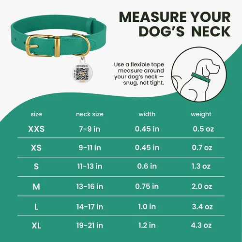 Miniatura 7 de BRONZEDOG Collar de cuero para perro con hebilla de metal, collares básicos duraderos para perros pequeños, medianos y grandes