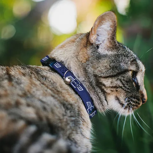 Miniatura 2 de Collar de gato Breakaway 1965 Chevrolet Bowtie Azul Blanco 8 a 12 pulgadas 0.5 pulgadas de ancho