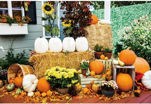 Miniatura 16 de Telón de fondo de otoño de 5 x 3 pies para sesión de fotos, tablero de madera de otoño para fotografía, decoración de pared de Acción de Gracias