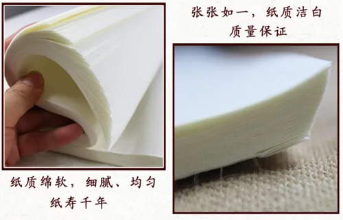 Miniatura 4 de MEGREZ - Papel de arroz japonés para escritura (100 hojas, 13.4 x 13.4 in, 13,38 x 13,38 pulgadas), medio Sheng Shu (medio maduro crudo)
