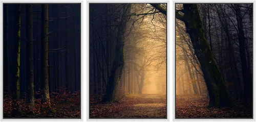 Miniatura 72 de SIGNWIN Lienzo enmarcado para pared, juego de arte nublado de tormenta, cielo, bosque otoñal, árboles, rústico, naturaleza, fotografía, realismo