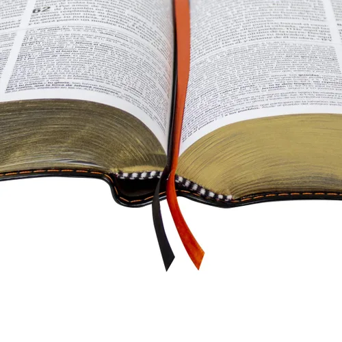 Miniatura 4 de Biblia de Estudio Teológico Reina Valera 1960 Piel Fabricada Negro con Index (Spanish Edition) Imitation Leather – 30 Julio 2019
