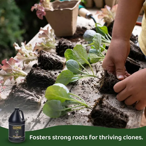 Miniatura 4 de Solución nutritiva para plantas Clone Solution de Clonex, HDCCSGAL, de 1 galón, hidrodinámica, internacional, 1 Cuarto de galón, Transparente