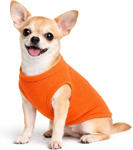 Miniatura 54 de Lovelonglong Ropa para mascotas de verano 2019, ropa para perro, camisetas en blanco, camisetas acanaladas, chalecos de hilo superior para perros