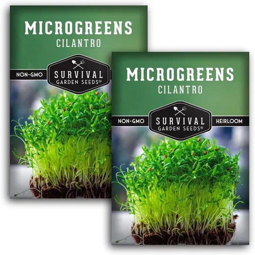 Miniatura 10 de Semillas de cilantro microgreen para germinar – Semillas de cilantro de reliquia sin OMG para microgreens frescos y sabrosos – Cultivo