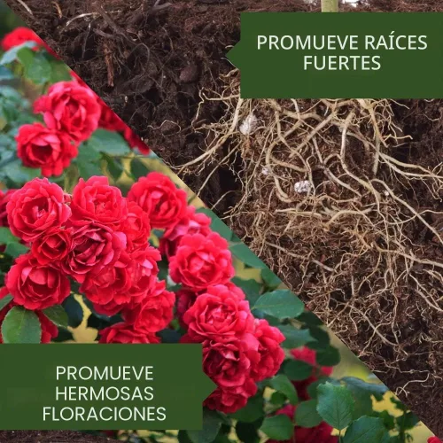 Miniatura 2 de BioAdvanced Cuidado de rosas y flores todo en uno I, gránulos, 4 lb