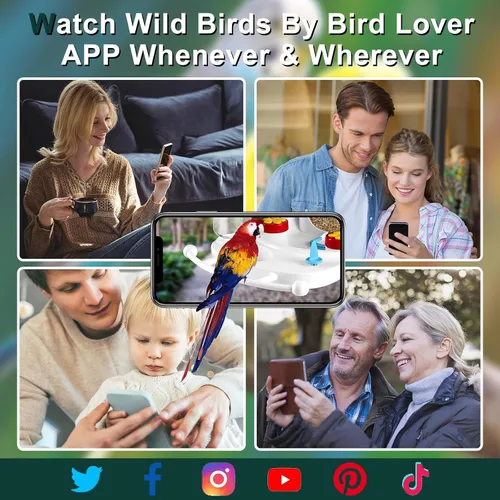Miniatura 4 de Comedero inteligente para pájaros con cámara AI para identificar especies de aves, vista en vivo, observación de aves, captura automática de videos