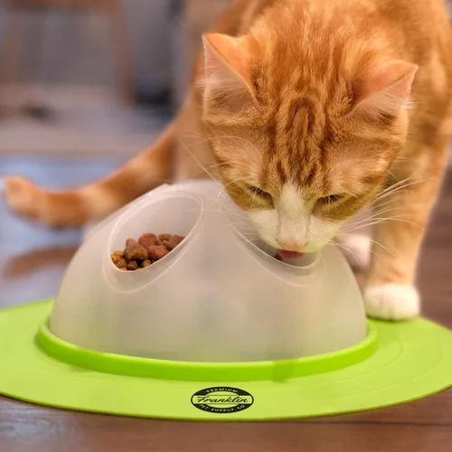 Miniatura 10 de Franklin Pet Supply Co. - Cuenco interactivo para excavación lenta para gatos, cuenco de juguete para golosinas + alimentos, comedero rascador
