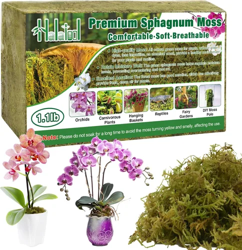Halatool Musgo de bosque verde de 1.1 libras, musgo esfagnum natural de 25 cuartos para plantas, musgo de orquídea esponjoso para trasplante de