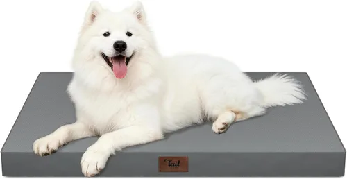 Miniatura 43 de Cama ortopédica de felpa para perros y cachorros medianos, camas impermeables para perros de 30 x 20 pulgadas con funda extraíble lavable, tapete