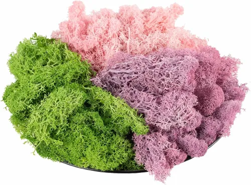 Musgo vivo natural de 9 onzas, musgo falso para plantas en macetas y terrarios, arte y decoración de bodas (verde, morado, rosa)