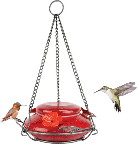 Nature's Way Bird Products MHF4 Comedero para colibríes soplado a mano con tapa de jardín, capacidad de 16 oz, rojo