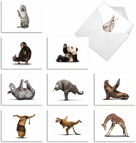 Miniatura 9 de The Best Card Company - 10 adorables tarjetas de notas en blanco (4 x 5.12 pulgadas) - Tarjetas de vida silvestre y animales, juego surtido