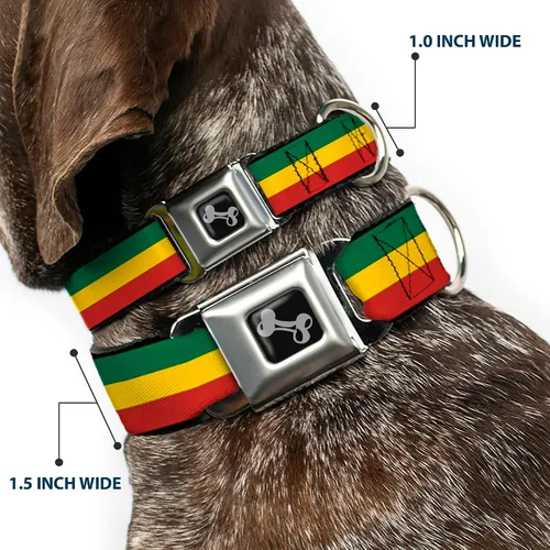 Miniatura 2 de Buckle-Down Collar de perro con hebilla para cinturón de seguridad, 1 pulgada de ancho, se adapta a cuello de 9 a 15 pulgadas, pequeño