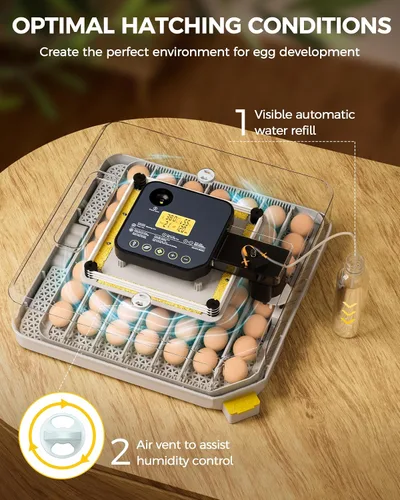 Miniatura 5 de Incubadora de 48 huevos para eclosionar con giro automático de huevos y control de humedad, vela de huevos, incubadora de huevos de aves de corral
